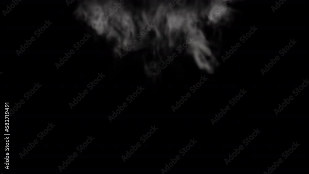White Smoke blowing rising transition reveal isolated on alpha background White Smoke blowing rising transition reveal isolated on alpha background