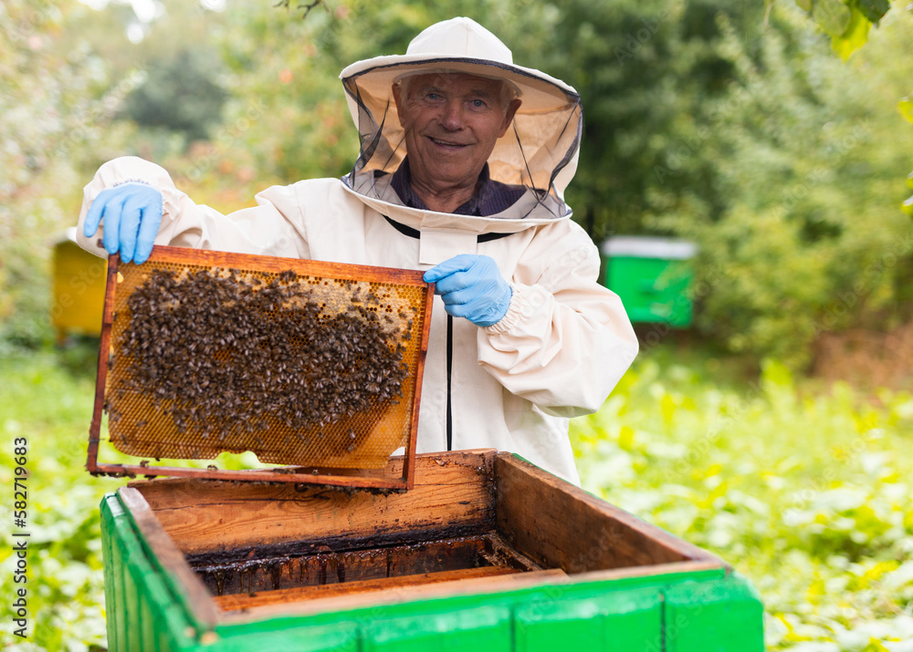 Elderly hiver standing beside hive with hive frame in hands Elderly hiver standing beside hive with hive frame in hands