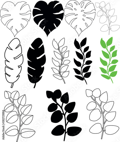 The collection of logo templates is decorated with calligraphic ornaments. Vector set of linear and green elements of tropical leaves photo