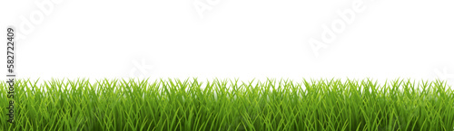 green grass background