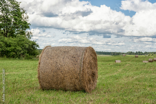 Wrapped Round Brown Hay Bales Field. Rural Area. Landscape.