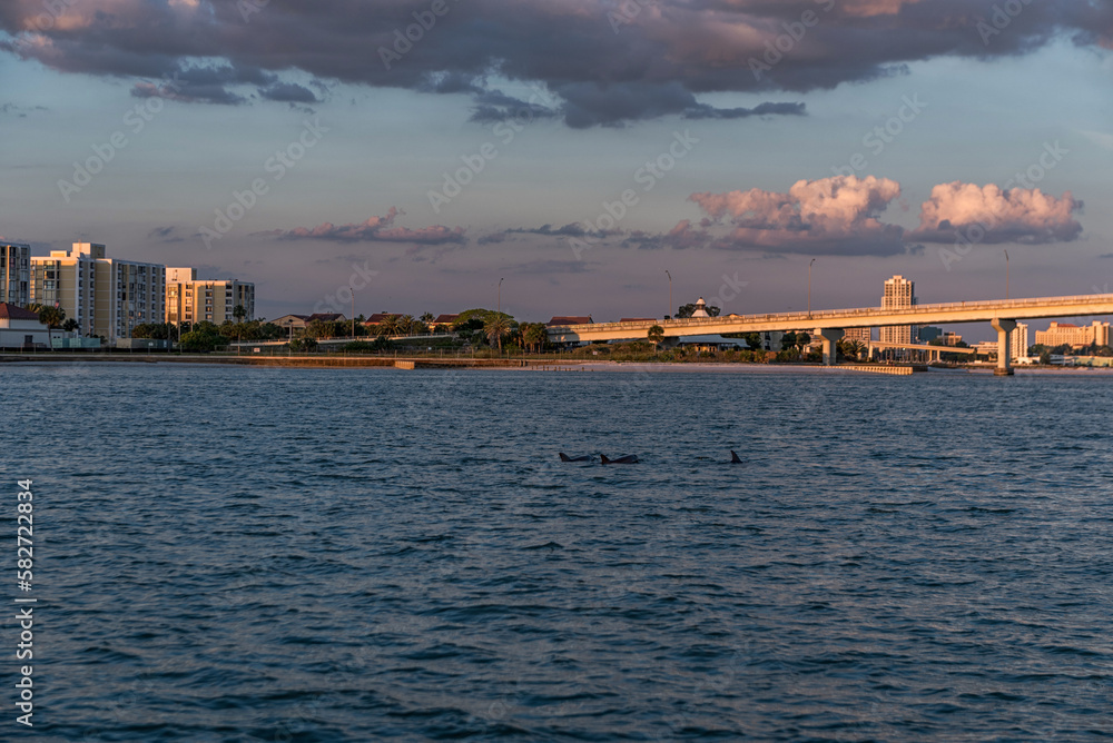 CLEARWATER, FLORIDA - MAY 04, 2015: Sunset in Clearwater Beach, Florida. Cityscape with Dolphins