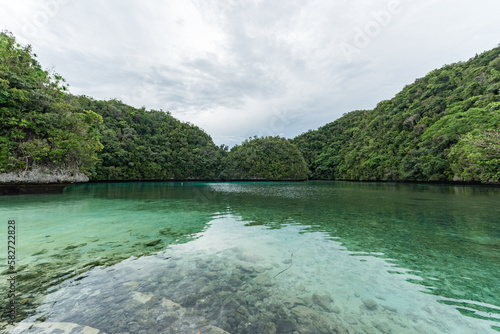 Clear Crystal Water in Koror, Palau. With Green Island in Background. Landscape