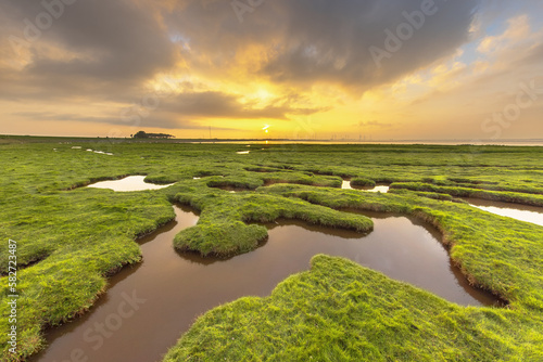 Obraz na plátně Land reclamation in mud flats on Dollard coast