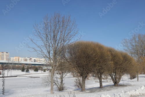 Alley in the park with melting snow, puddles and ice in the spring, underground metro. Butovo, Moscow. thawed patches. month of March 2023.