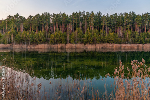 Evening by the lake with water reflection and forest in background.