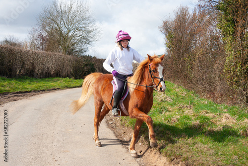 Pretty young woman and her chestnut pony horse stepping off country Lane to allow traffic to drive by, as they enjoy horseback riding in the English countryside. © Eileen