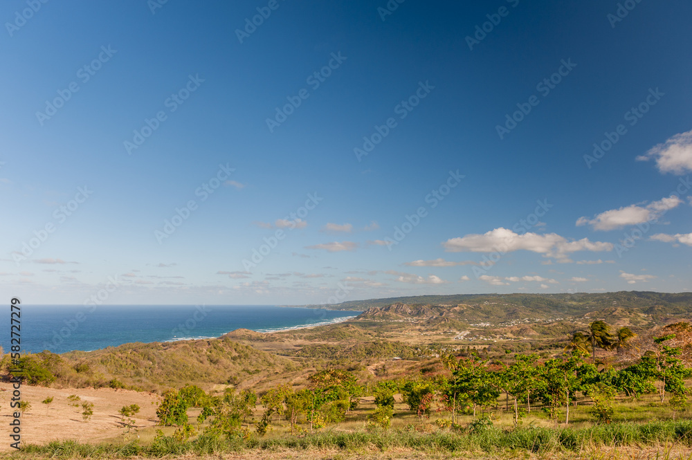 Barbados Landscape with Coastline. Caribbean Ocean. Wild Nature