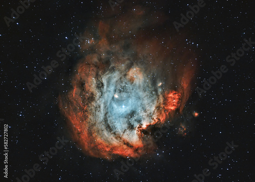 Nebulosa Testa di Scimmia photo