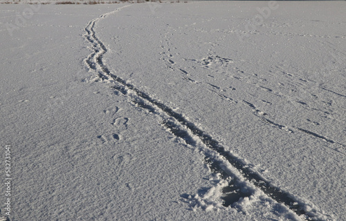 Photography Winter