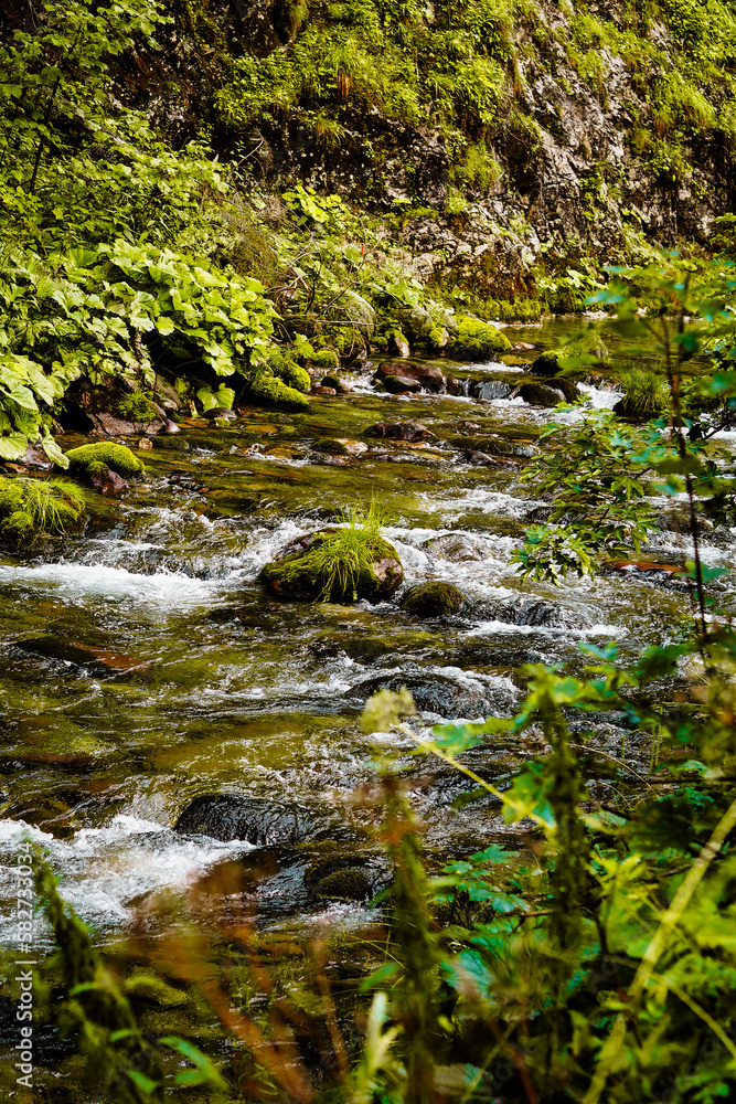 Nature scenic landscapes, mountain rivers and streams, brooks and small waterfalls, green summer nature Nature scenic landscapes, mountain rivers and streams, brooks and small waterfalls, green summer nature
