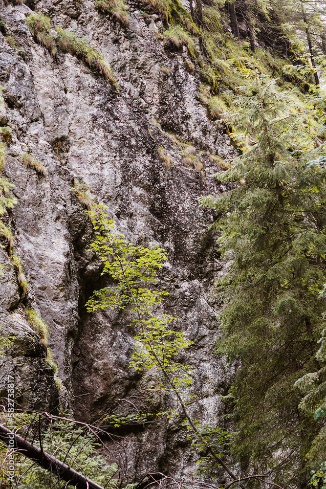 Nature scenic landscapes, Polish mountains and rocks Nature scenic landscapes, Polish mountains and rocks