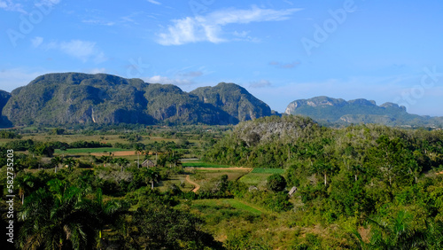 Lush vegetation with green forests, mogotes mountains in the fertile Vinales Valley, a Unesco Heritage in Cuba 