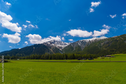 Green fields and Alps mountains coevered with forest, Samedan, Maloja, Graubuenden, Switzerland