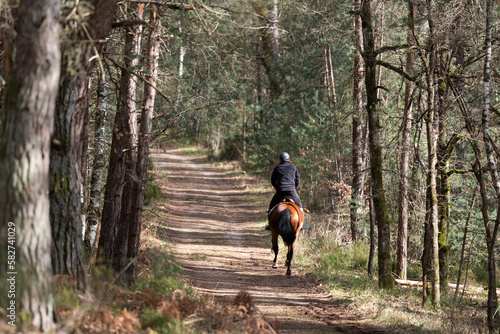 Cavaler - Forêt des 3 pignons - Fontainebleau