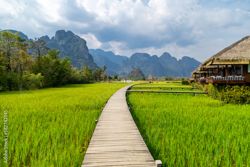 wooden path with green rice field in Vang Vieng, Laos.