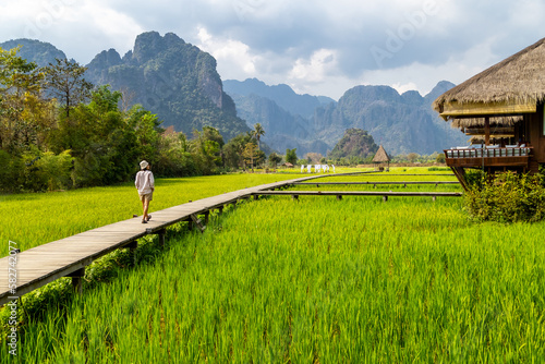 wooden path with green rice field in Vang Vieng, Laos. photo
