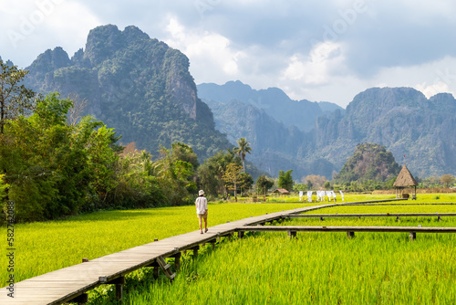 wooden path with green rice field in Vang Vieng, Laos.
