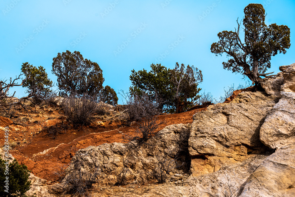 Red sandstone rock features, showing interesting texture, pits and pock marks, from wind and water erosion, crevices, smooth edges, tee growing from the rocks, with copy space and negative space. Red sandstone rock features, showing interesting texture, pits and pock marks, from wind and water erosion, crevices, smooth edges, tee growing from the rocks, with copy space and negative space.