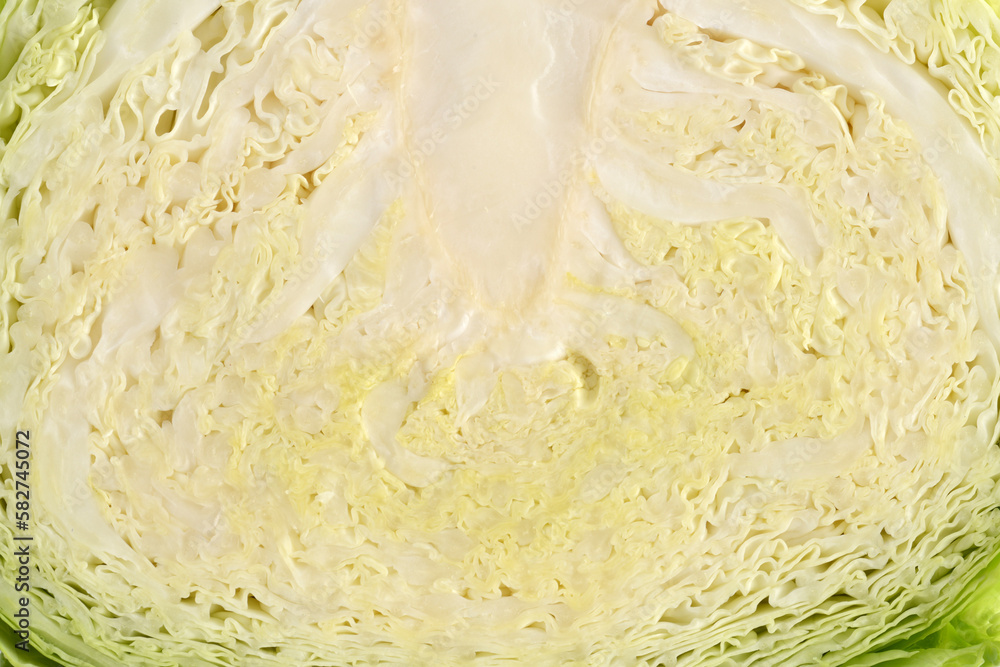 cross section savoy cabbage seamless background