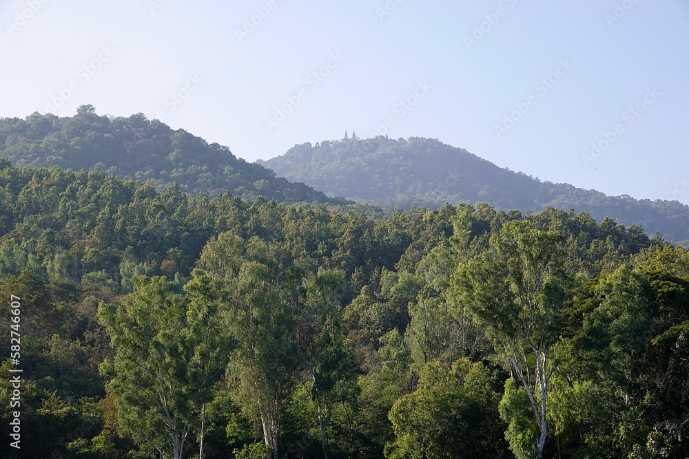 Aerial view of lush green dense forests with mountains in the background