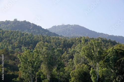 Aerial view of lush green dense forests with mountains in the background