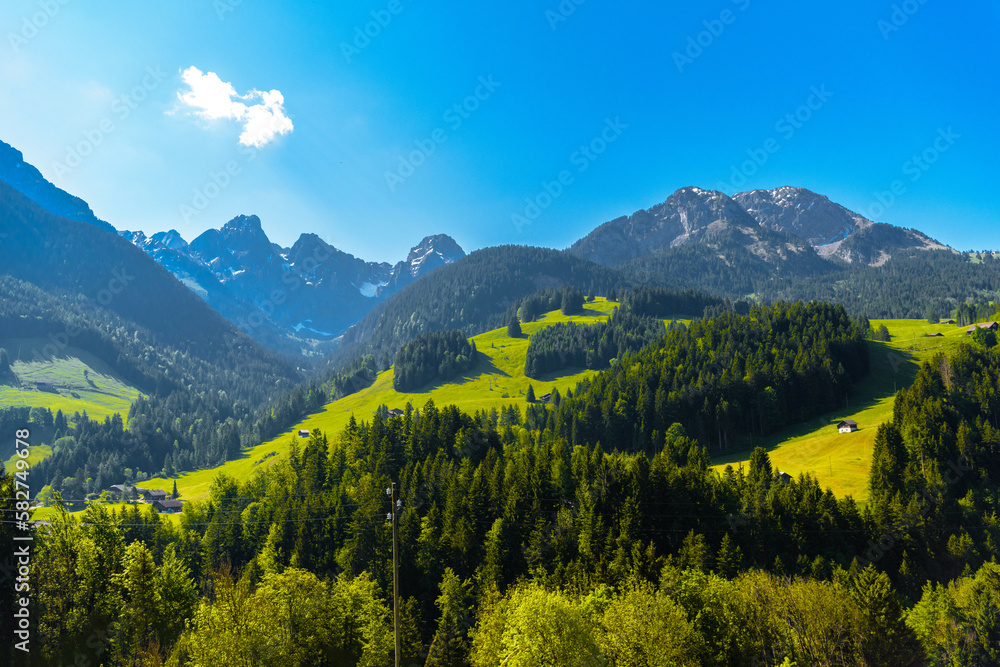 Mountains with meadows, forest and blue sky in Flendruz, Rougemont, Pays-d'Enhaut, Vaud, Switzerland
