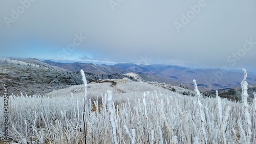 Snow and Iced covered mountains in North Carolina. Part of the AT and the Art Lobe Trail. 