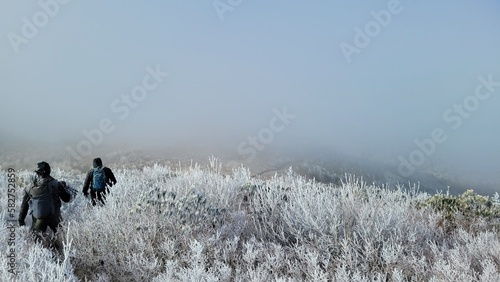 Walking in the Winter Mountains 