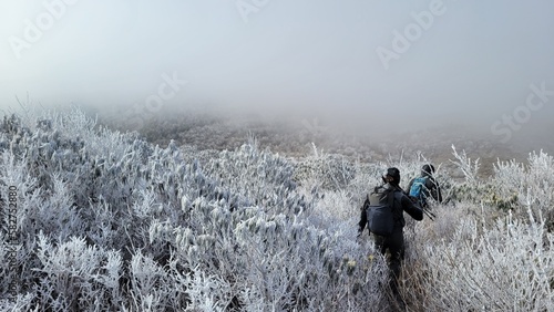 Hikers traversing ice covered hills in the mountains
