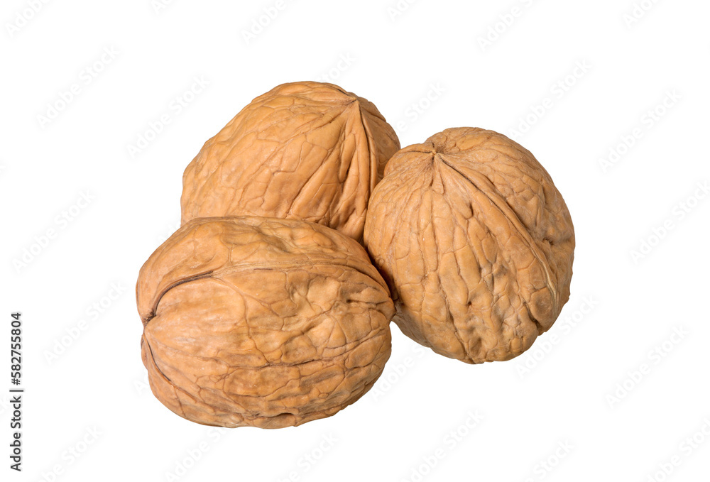 Whole walnuts on white Whole walnuts on white