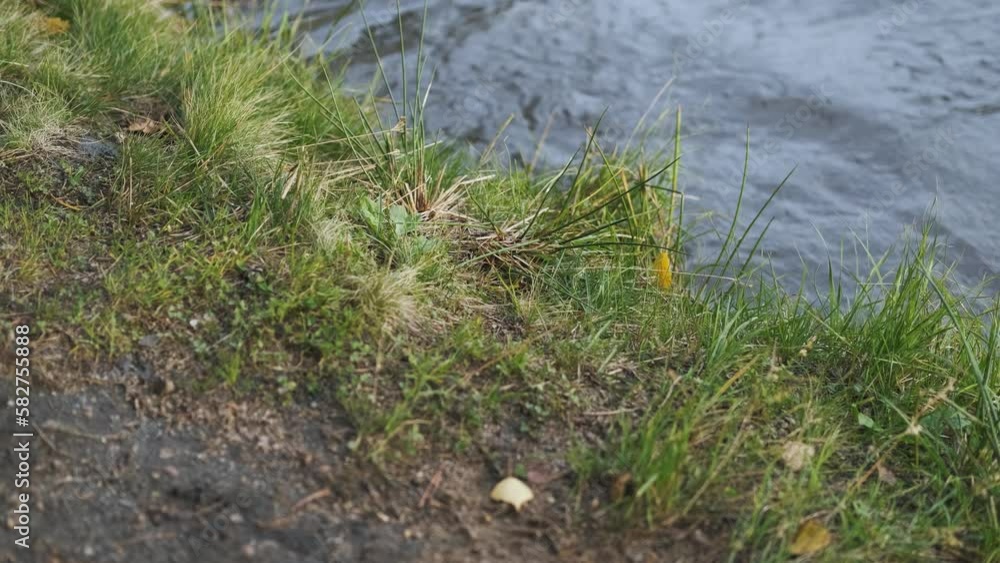 close-up of a man in rubber boots comes ashore from the lake close-up of a man in rubber boots comes ashore from the lake