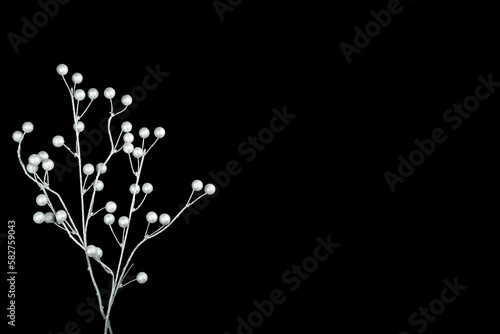white artificial flowers on a black  background