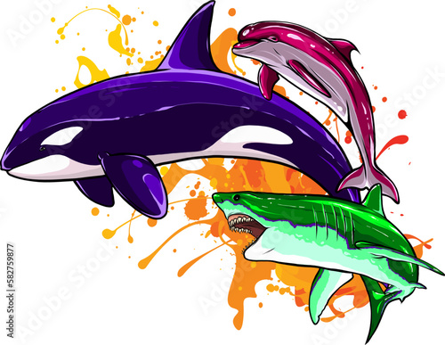 Set of Marine mammals vector illustration. digital hand draw design