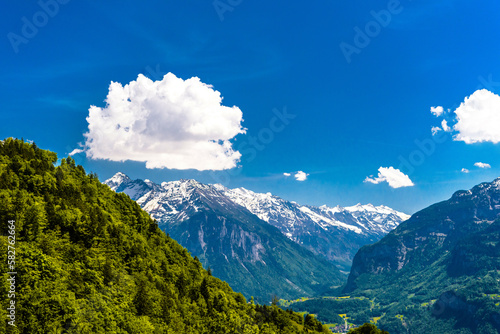 Mountains covered with forest, Brienz, Interlaken-Oberhasli, Bern Switzerland