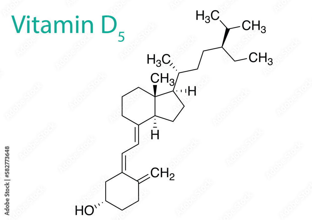 Vector illustration of the molecule structure of Vitamin D5 Stock ...