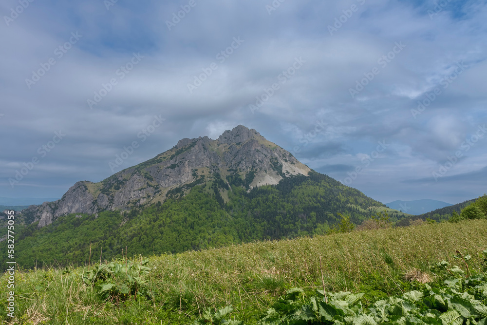 View from Stoh pass to Velky Rozsutec, mountain in National Park Mala Fatra, Slovakia, spring cloudy day. View from Stoh pass to Velky Rozsutec, mountain in National Park Mala Fatra, Slovakia, spring cloudy day.
