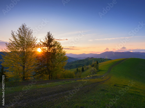 countryside scenery with meadow in mountains. springtime landscape at sunset