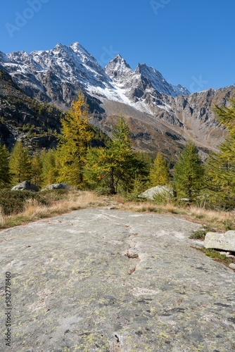 View of the Levanne peaks in background and mountain forest photo