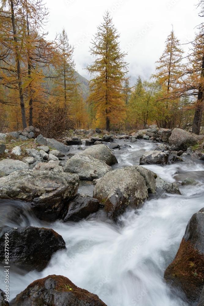 Beautiful long exposure of a river stream in the mountain forest during a fall time Beautiful long exposure of a river stream in the mountain forest during a fall time