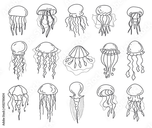 Jellyfish animal fish jelly ocean doodle outline isolated set. Vector graphic design element illustration