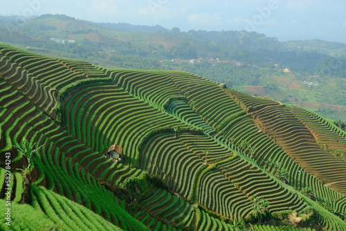 The Panyaweuyan terraces are areas at the foot of Mount Ciremai where vegetables are planted by the residents
