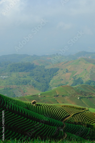 The Panyaweuyan terraces are areas at the foot of Mount Ciremai where vegetables are planted by the residents