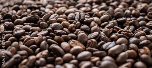 Fresh roasted brown coffee beans panoramic background © Piman Khrutmuang