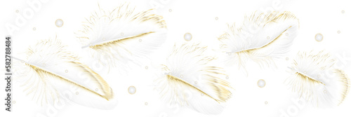 Art wallpaper with golden white feathers. Modern creative design for home decor, banners, and prints. Vector illustration.