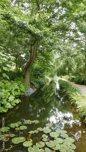 Jardin d'eau en été