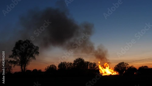 Osterfeuer mit starker Rauchentwicklung. klarer Himmel (Dämmerung) in ländlicher Umgebung, Baumreihe