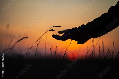 A man's hand touching grass. Caring for the environment. The ecology the concept of saving the world and love nature by human