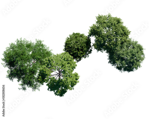 green tree top view on white png landscape plan urban
