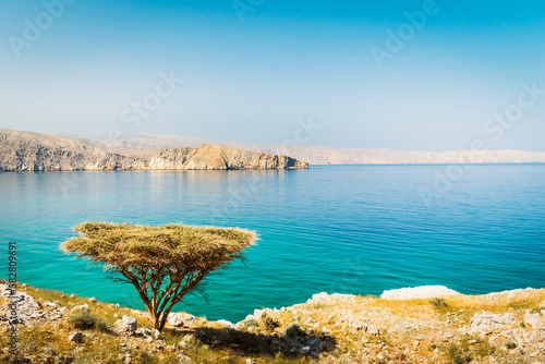 Slika na platnu Beautiful sunny arid Oman landscape in persian gulf bay with turquoise sea water, Merillas islands background